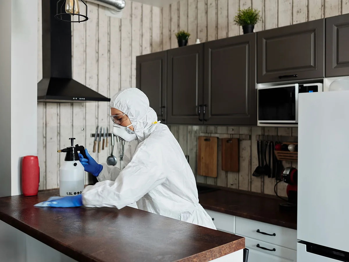 Cockroach Spray Treatment