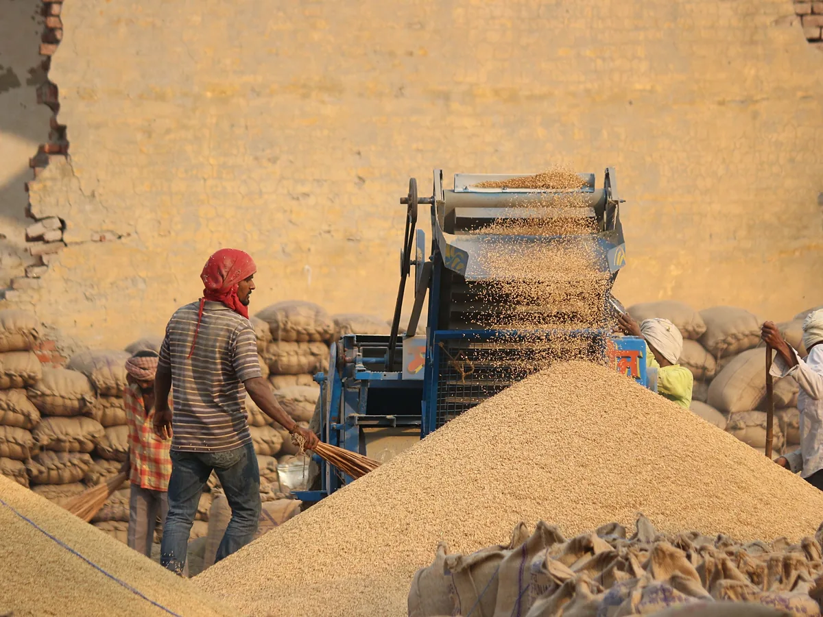 Grain & Storage Fumigation